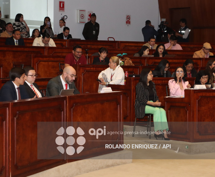 MARIO GODOY COMISION FISCALIZACION