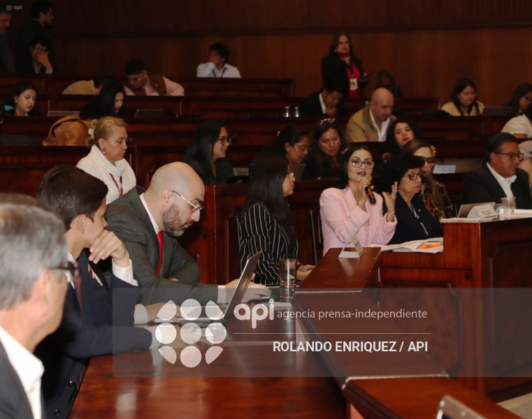 MARIO GODOY COMISION FISCALIZACION