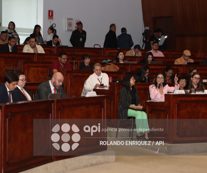 MARIO GODOY COMISION FISCALIZACION