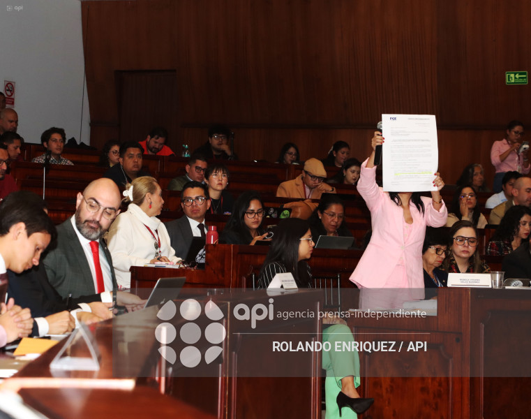 MARIO GODOY COMISION FISCALIZACION