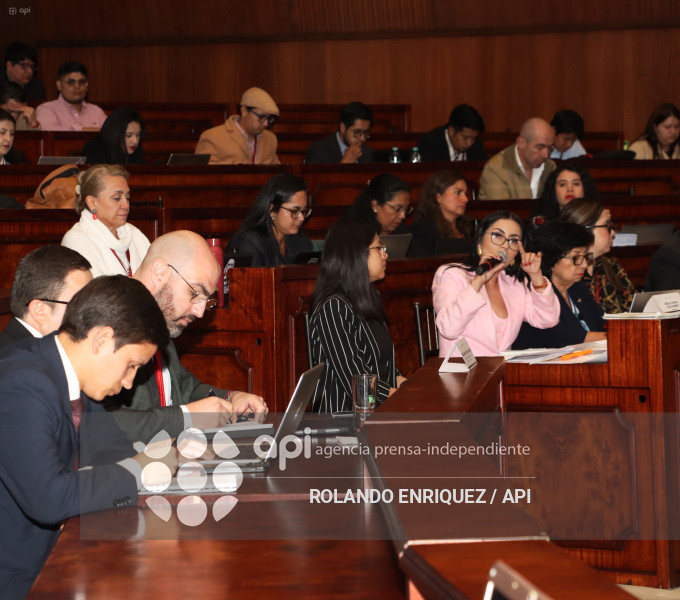 MARIO GODOY COMISION FISCALIZACION