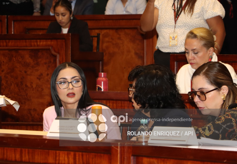 MARIO GODOY COMISION FISCALIZACION