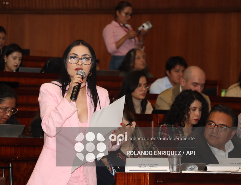 MARIO GODOY COMISION FISCALIZACION