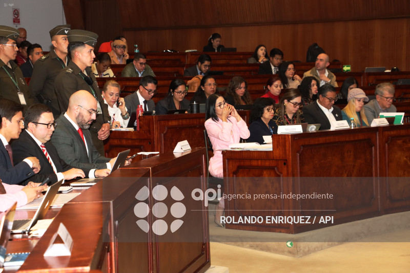 MARIO GODOY COMISION FISCALIZACION