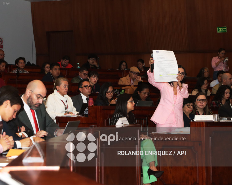 MARIO GODOY COMISION FISCALIZACION