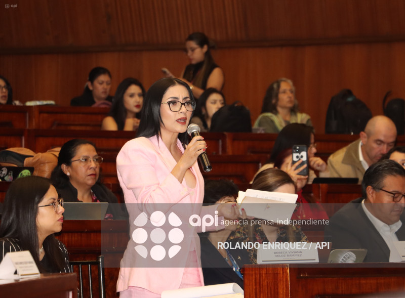 MARIO GODOY COMISION FISCALIZACION