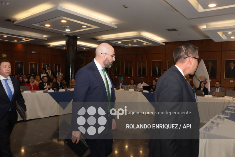 MARIO GODOY  REINSTALACION COMISION FISCALIZACION