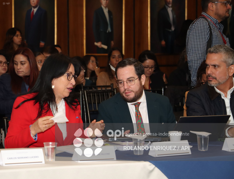 MARIO GODOY  REINSTALACION COMISION FISCALIZACION