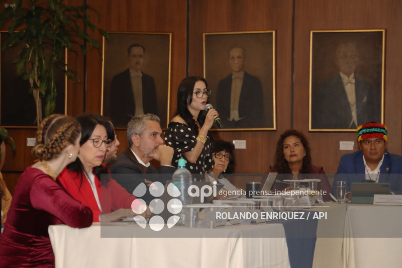 MARIO GODOY  REINSTALACION COMISION FISCALIZACION