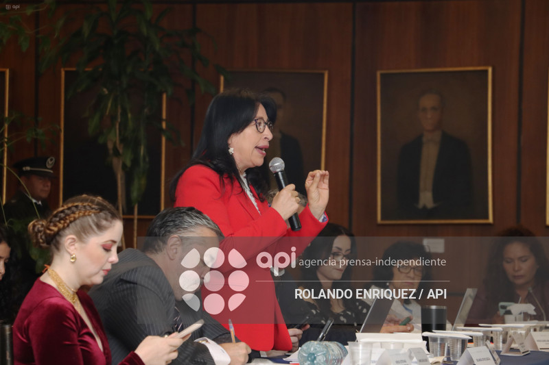 MARIO GODOY  REINSTALACION COMISION FISCALIZACION