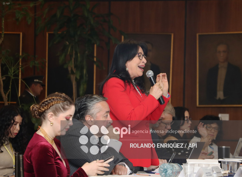 MARIO GODOY  REINSTALACION COMISION FISCALIZACION