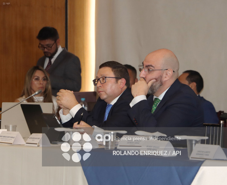 MARIO GODOY  REINSTALACION COMISION FISCALIZACION