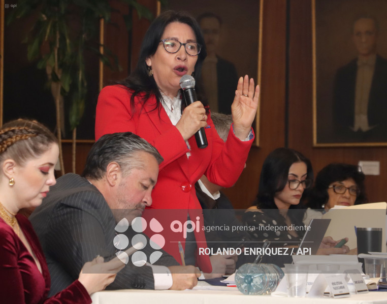 MARIO GODOY  REINSTALACION COMISION FISCALIZACION