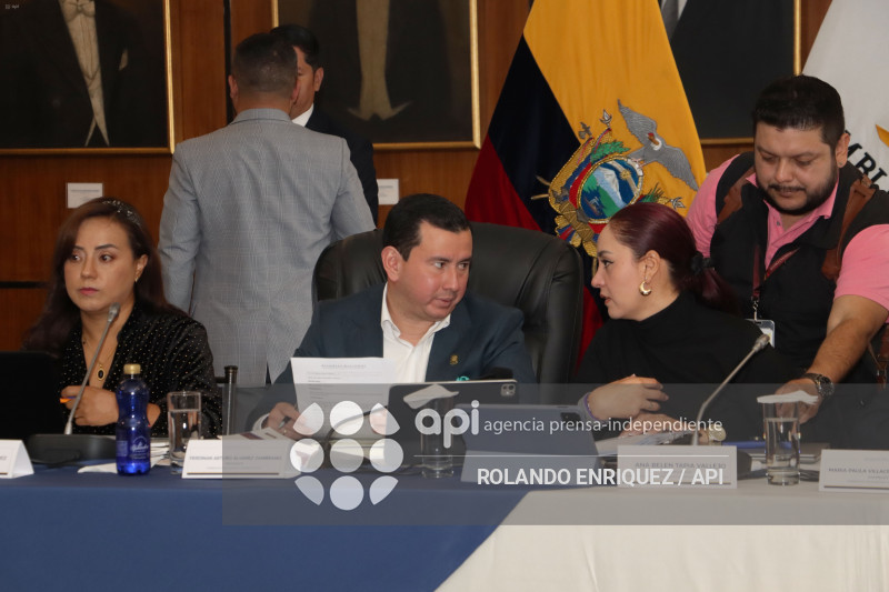 MARIO GODOY  REINSTALACION COMISION FISCALIZACION