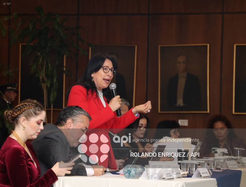 MARIO GODOY  REINSTALACION COMISION FISCALIZACION