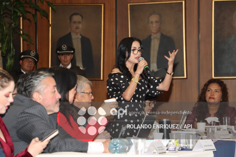 MARIO GODOY  REINSTALACION COMISION FISCALIZACION