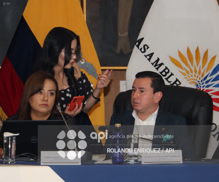 MARIO GODOY  REINSTALACION COMISION FISCALIZACION