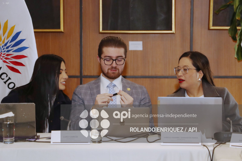 MARIO GODOY  REINSTALACION COMISION FISCALIZACION