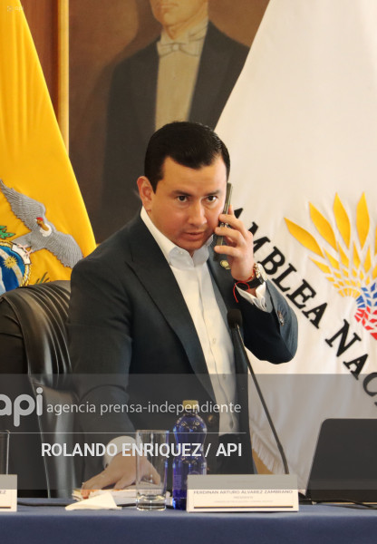 MARIO GODOY  REINSTALACION COMISION FISCALIZACION