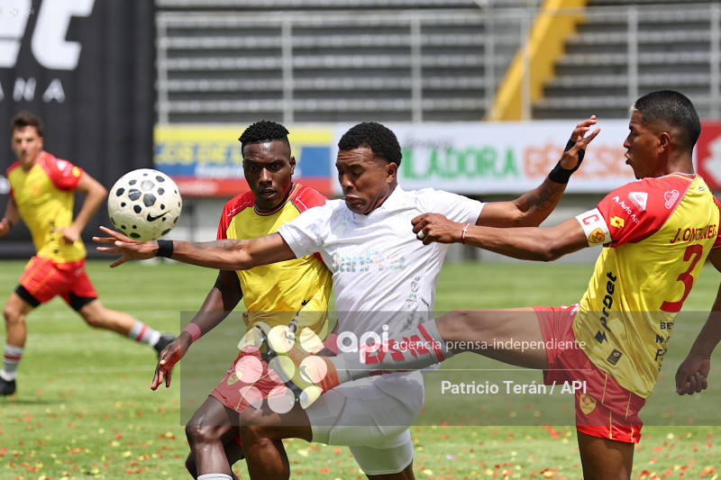 TARDE ORIENTAL 2026, PRESENTACIÓN DE AUCAS
