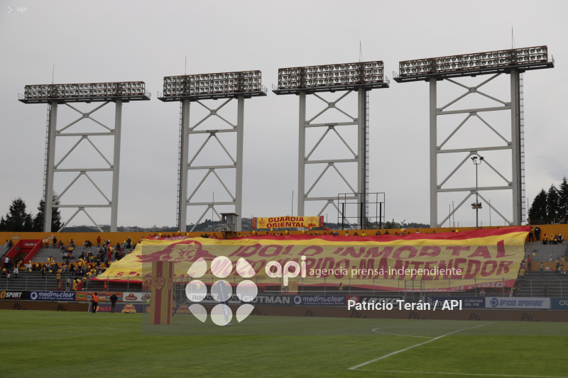 TARDE ORIENTAL 2026, PRESENTACIÓN DE AUCAS