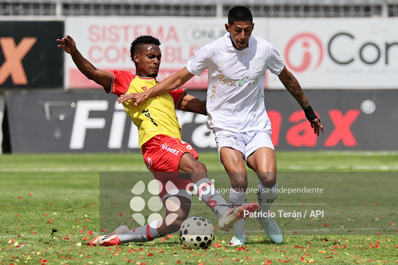 TARDE ORIENTAL 2026, PRESENTACIÓN DE AUCAS