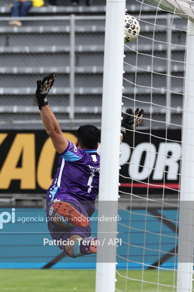 TARDE ORIENTAL 2026, PRESENTACIÓN DE AUCAS