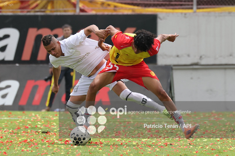 TARDE ORIENTAL 2026, PRESENTACIÓN DE AUCAS