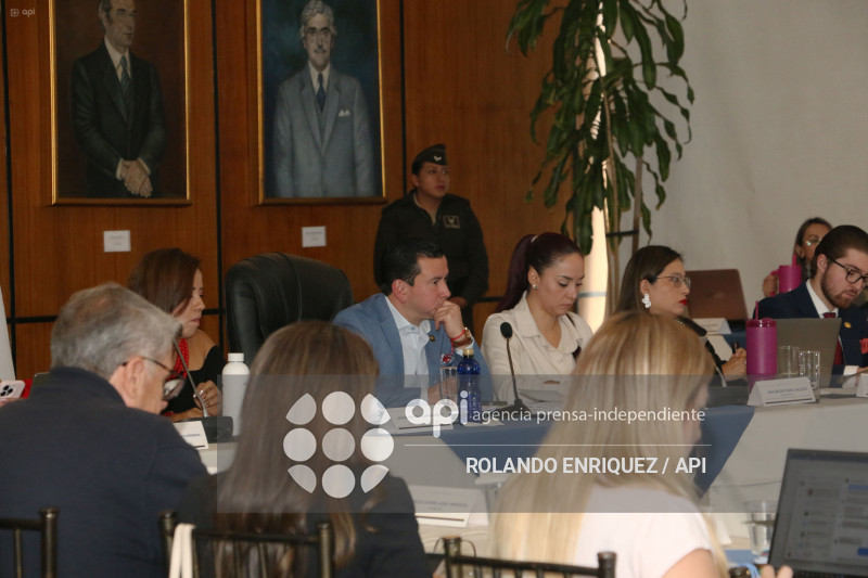 MARIO GODOY PRESENTA SU DEFENSA EN LA COM FISCALIZACION