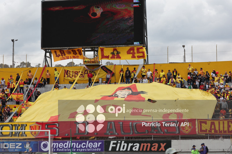 TARDE ORIENTAL 2026, PRESENTACIÓN DE AUCAS