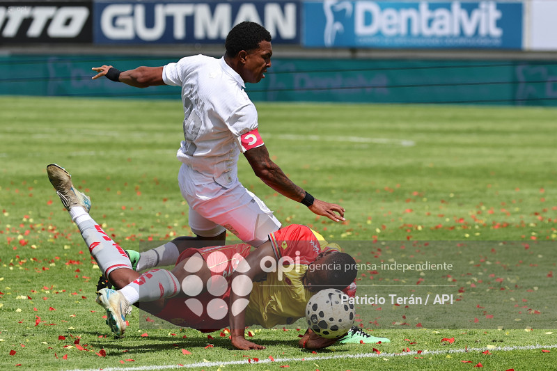 TARDE ORIENTAL 2026, PRESENTACIÓN DE AUCAS