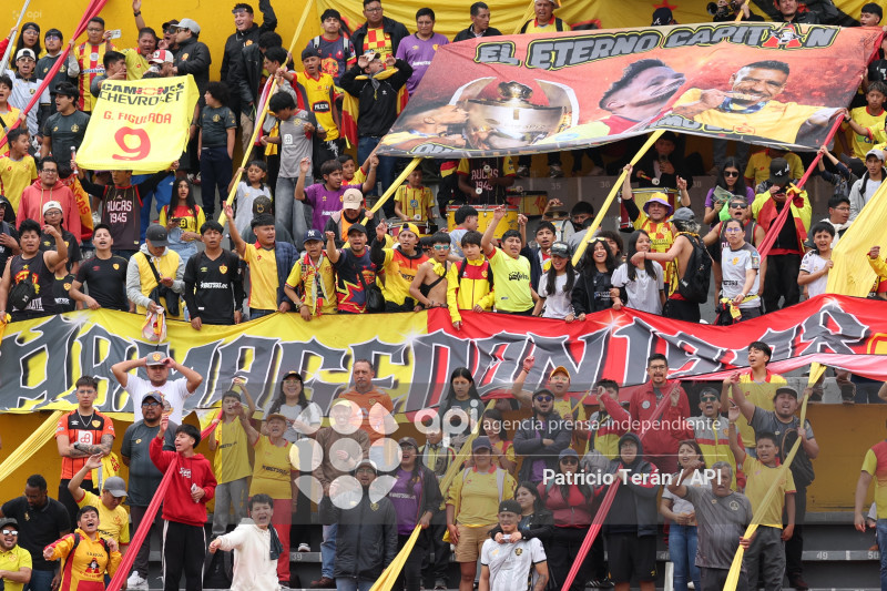 TARDE ORIENTAL 2026, PRESENTACIÓN DE AUCAS