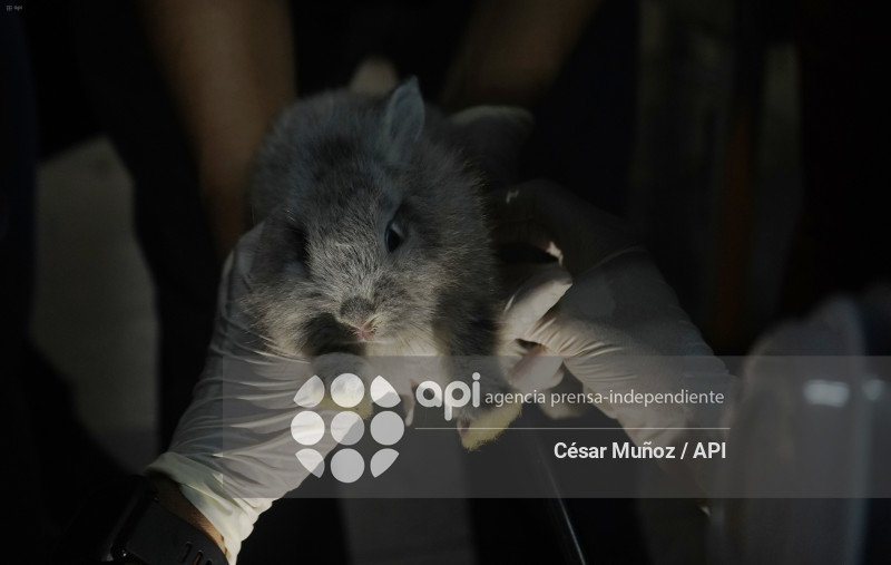 GYE-INCENDIO MULTICOMERCIO