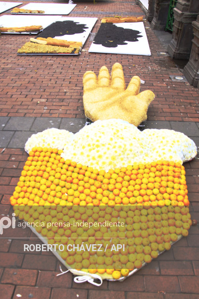 PREPARATIVOS FIESTA DE LAS FLORES Y LAS FRUTAS