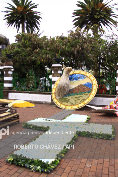 PREPARATIVOS FIESTA DE LAS FLORES Y LAS FRUTAS