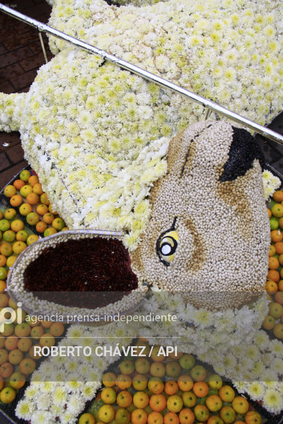 PREPARATIVOS FIESTA DE LAS FLORES Y LAS FRUTAS