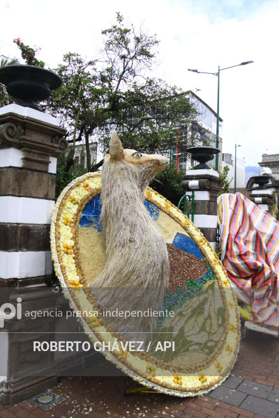 PREPARATIVOS FIESTA DE LAS FLORES Y LAS FRUTAS