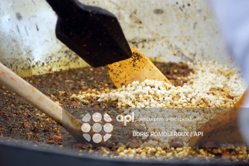 CUENCA-RECORD GUINNES-MOTE PATA MAS GRANDE DEL MUNDO