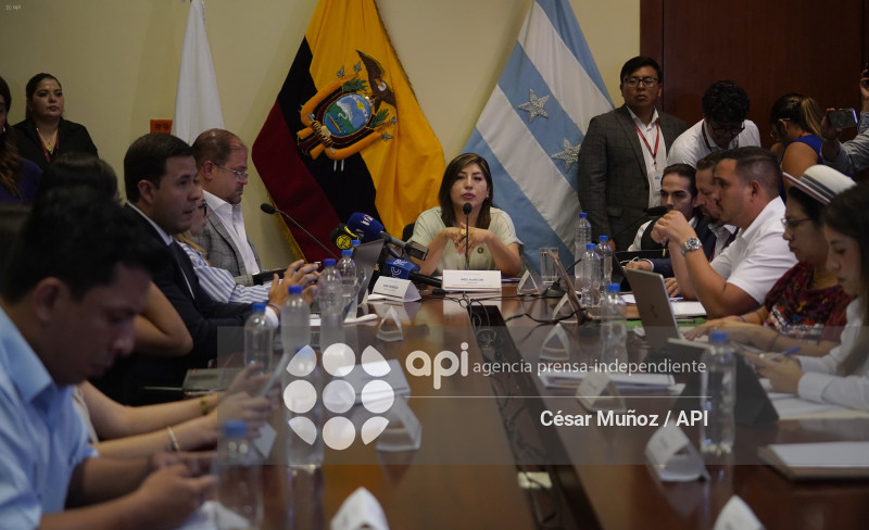 GYE-SESION COMISION SEGURIDAD