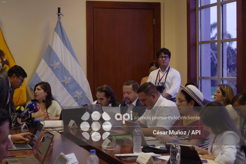 GYE-SESION COMISION SEGURIDAD