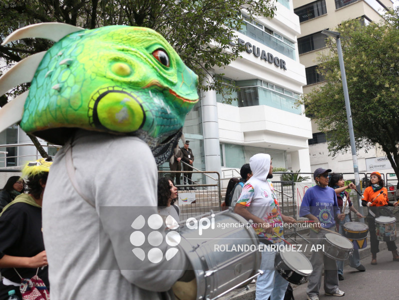 MARCHA CONTRA LEY MINERA