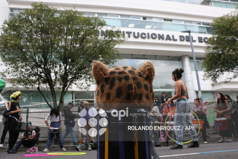 MARCHA CONTRA LEY MINERA