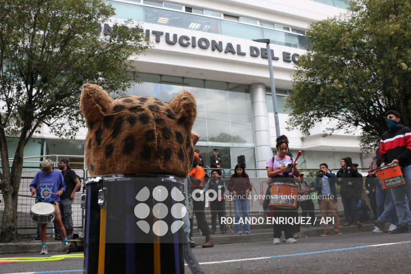 MARCHA CONTRA LEY MINERA