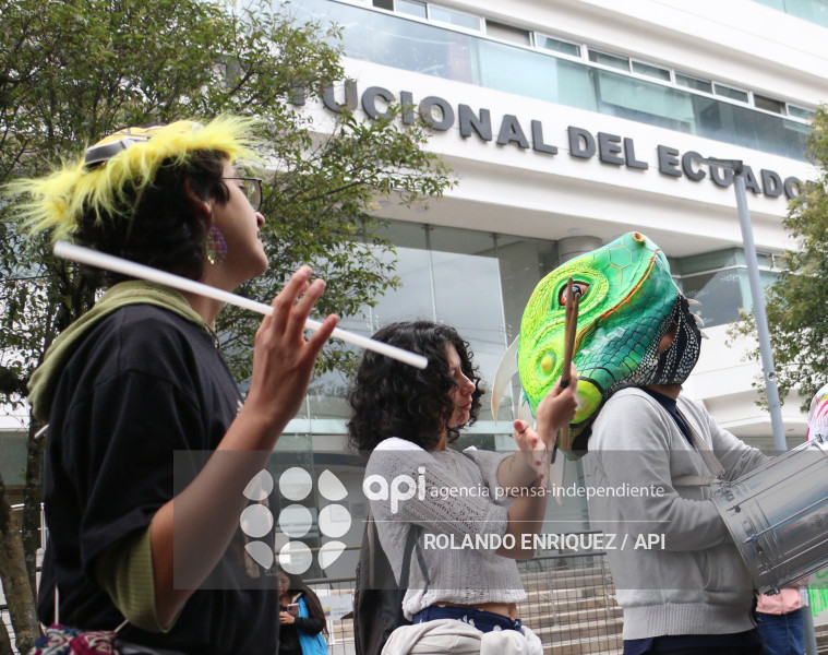 MARCHA CONTRA LEY MINERA