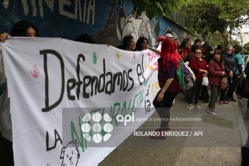 MARCHA CONTRA LEY MINERA