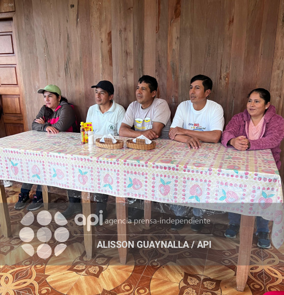 COMUNIDAD JUNIN LEY MINERA