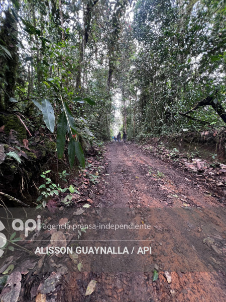 COMUNIDAD JUNIN LEY MINERA