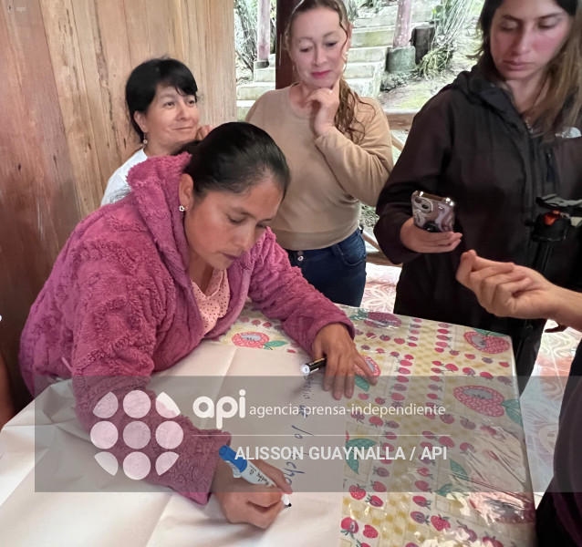 COMUNIDAD JUNIN LEY MINERA