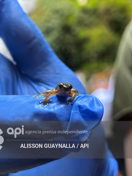 Proyecto LLURIMAGUA ABANDONADO VALLE INTAG