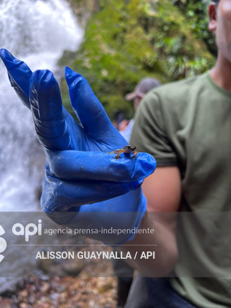 Proyecto LLURIMAGUA ABANDONADO VALLE INTAG